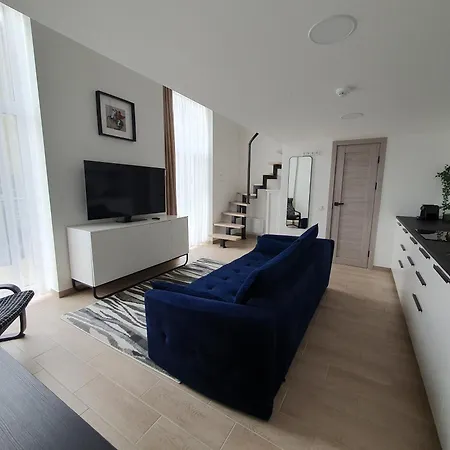 Modern Loft With Outdoor Space Palanga